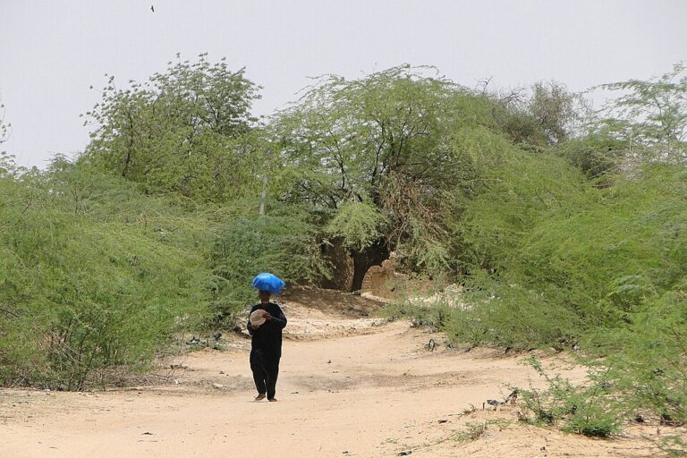 burkina-deux-policiers-meurent-embuscade-sahel
