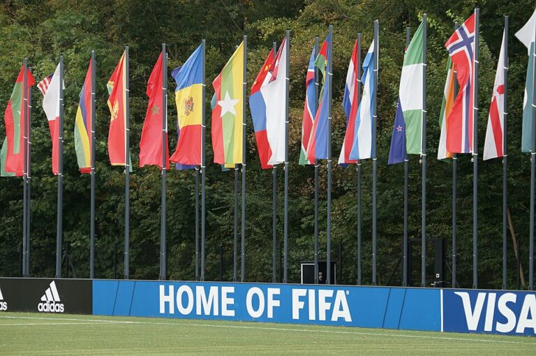 crise-a-la-fif-fifa-mediation