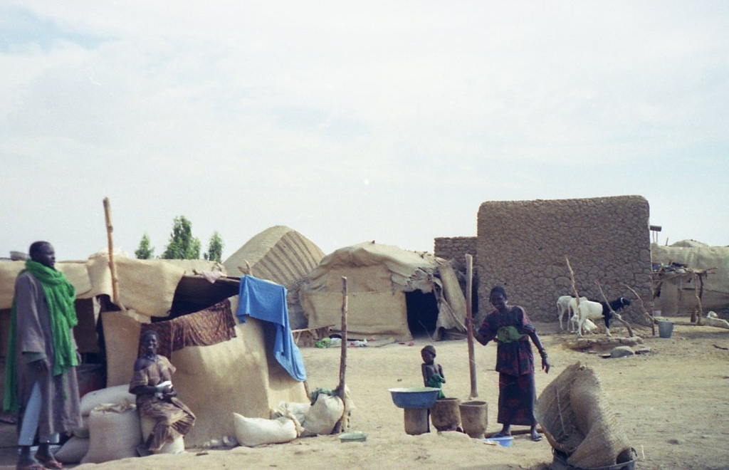 langues les plus parlées au Mali