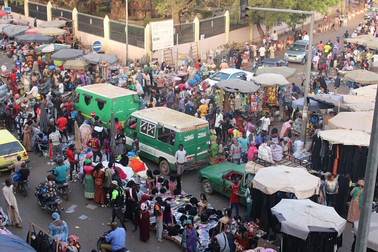 pib-mali-depasse-17-milliards-de-dollars