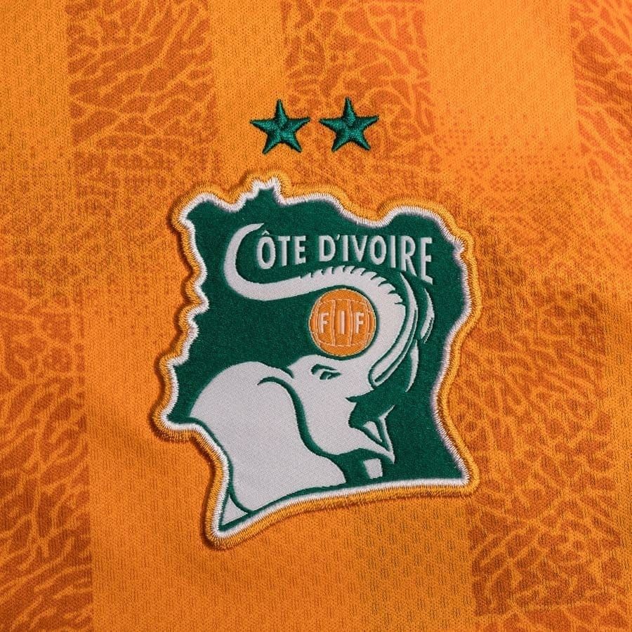 elephants-liste-cote-divoire-rwanda