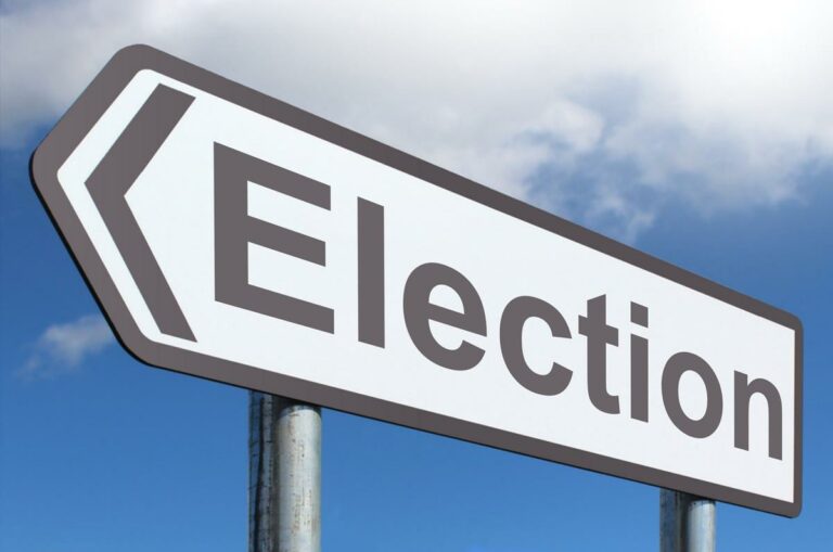presidentielle-2020-militante-pdci-bedie