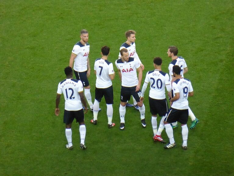 ligue-des-champions-tottenham-bat-ajax