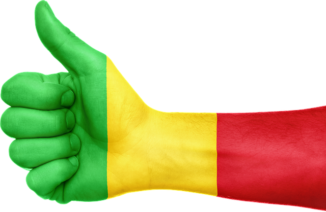 résultats-bac-2022-Mali