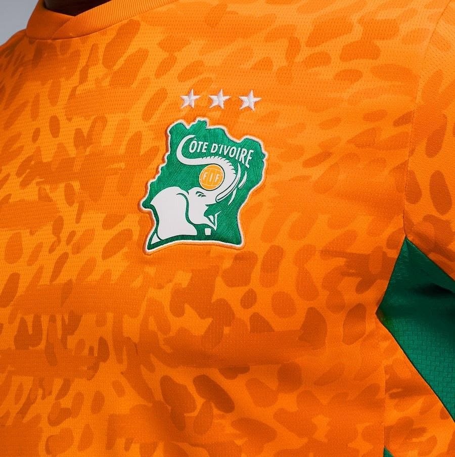 chan-2023-elephants-de-cote-d-ivoire