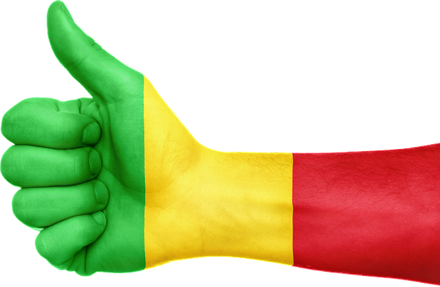 def-2023-Mali