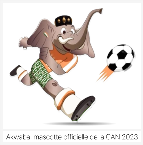 classement-meilleurs-buteurs-can