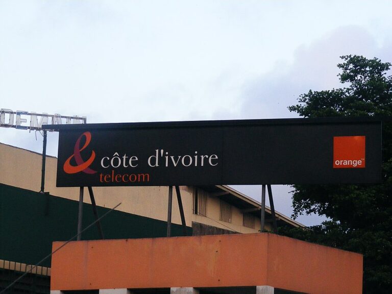 internet-cote-d-ivoire-coupe-orange-branche