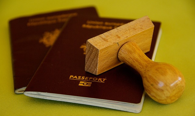 les-30-passeports-les-plus-puissants-au-monde-2024