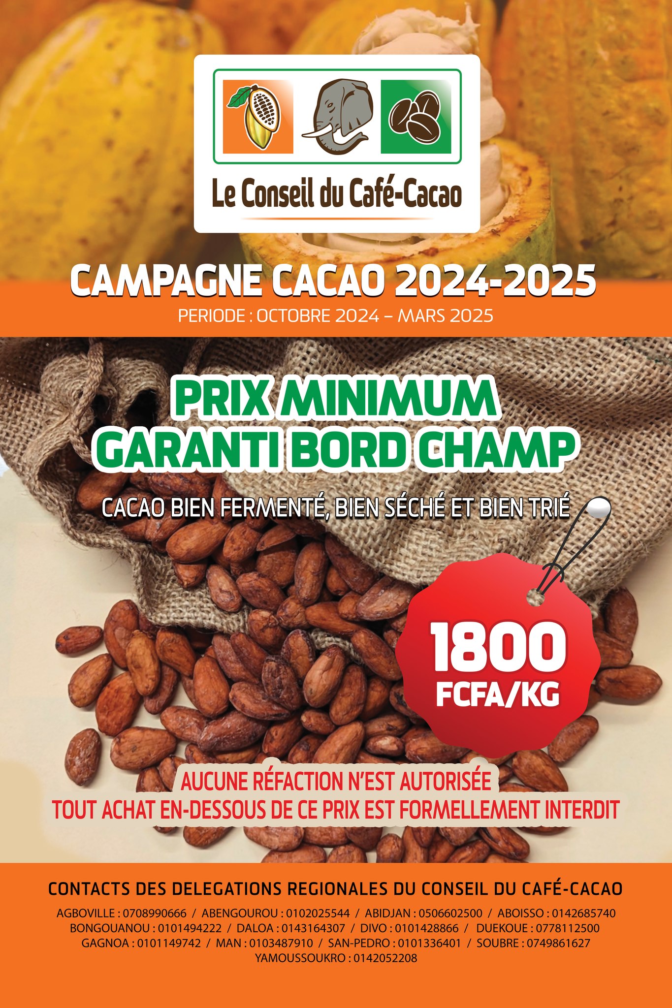 prix-du-cacao-fixé-1800-fcfa-cote-divoire-campagne-2024-2025