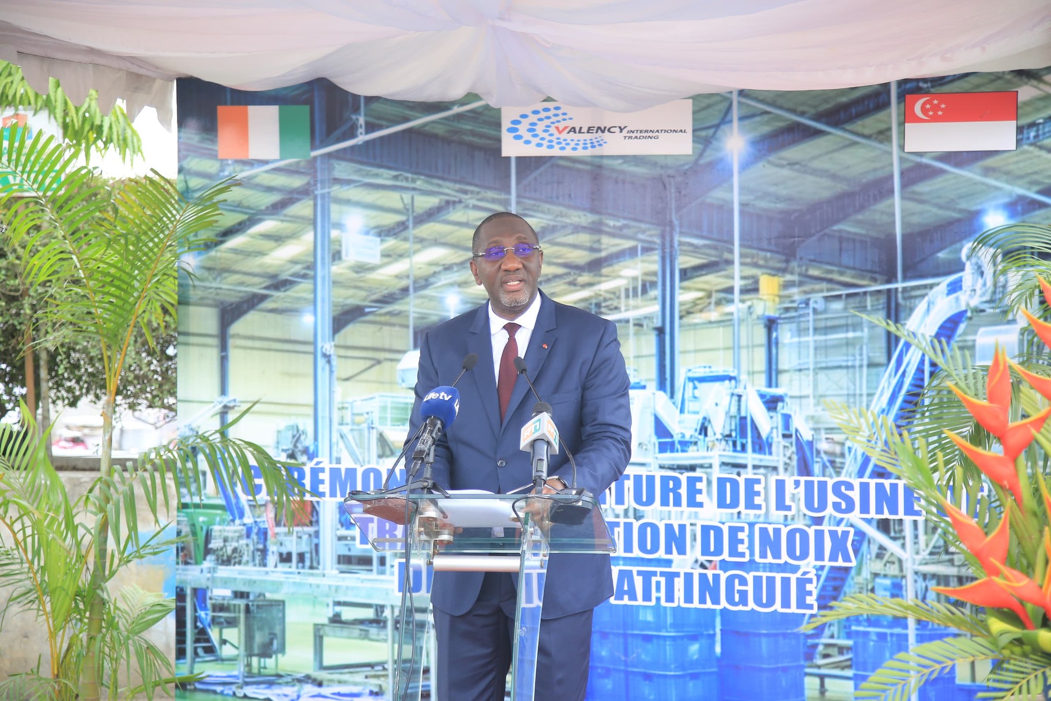 noix-de-cajou-en-cote-d-ivoire-inauguration-usine-de-transformation-attinguie