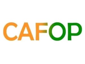 resultats-CAFOP-2025-disponibles-vendredi-18-avril