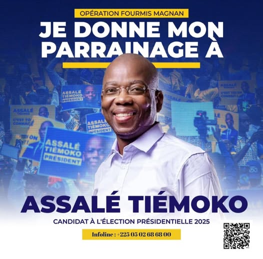 financement-des-partis-politiques-tiemoko-assale-plafonnement