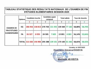 resultats-cee-2025-Guinée-consulter-en-ligne-delibérations