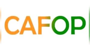 resultats-definitifs-cafop-2025-lien-voir-liste-des-6000-admis