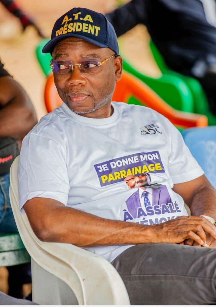 reforme-code-electoral-ivoirien-tiemoko-assale-système-parrainage