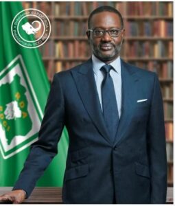 thiam-invalidation-candidature-conseil-constitutionnel