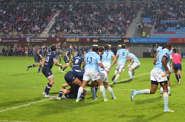 coupe-du-monde-rugby