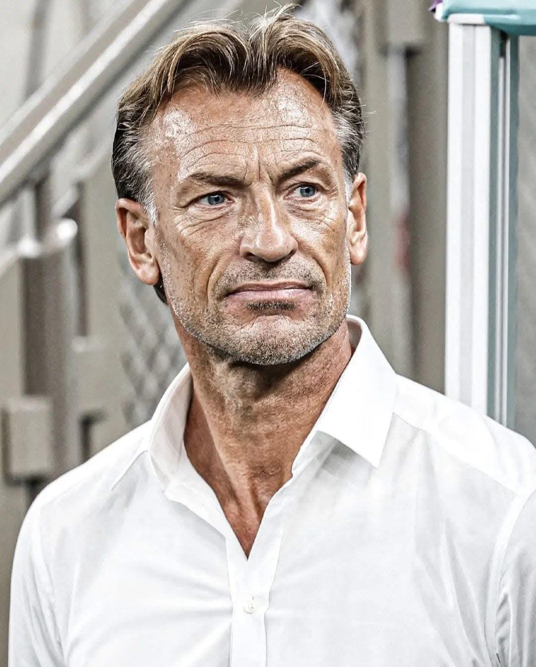 herve-renard-limoge-maroc