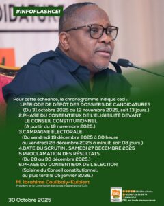 legislatives-decembre-2025-CI-CEI