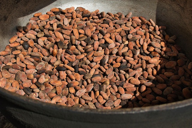 prix-de-vente-cacao-gnamien-konan