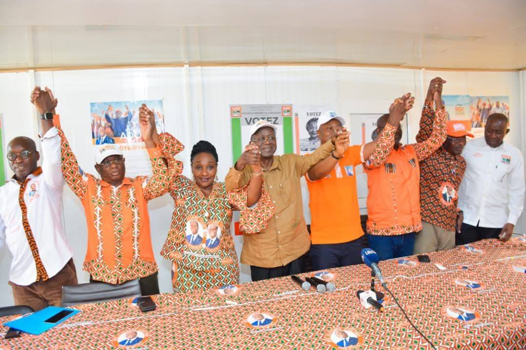legislatives-partielles-toumodi-RHDP-mobilisé-raymonde-goudou