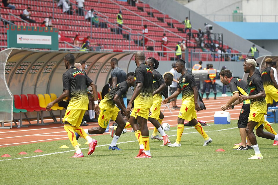 ministere-malien-des-sports-reclame-demission-tom-saintfiet