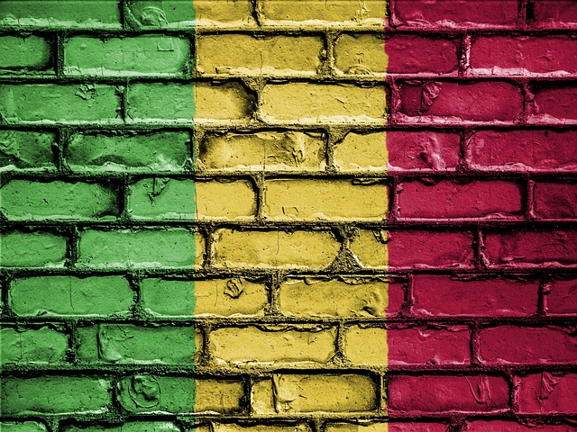 resultat-orientations-def-2026-mali